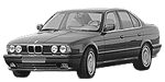 BMW E34 C246A Fault Code